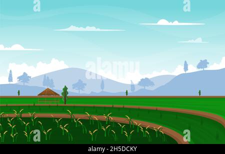 Bali Terraced Paddy Rice Field Agriculture Nature View Illustration Stock Vector