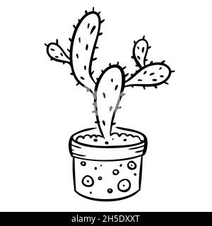 Vector illustration of a flower in a pot and sketch hand drawn Stock Vector