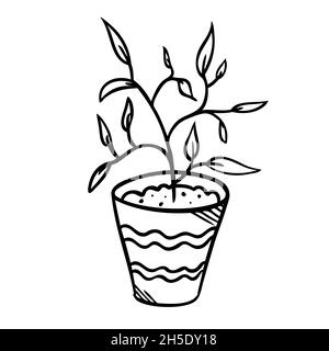 Vector illustration of a flower in a pot and sketch hand drawn Stock Vector