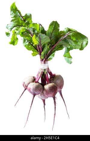 Bunch  of red beetroot with leaves isolated on white Stock Photo