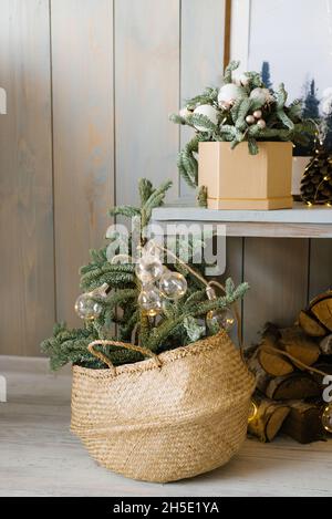 Fir or pine branches in a wicker basket at Christmas time. living room interior decor Stock Photo