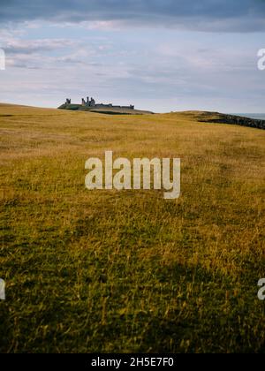 Walking from Crater to Dunstanburgh Castle 14th-century ruin in the summer coast landscape of Northumberland northern England UK - Northumbria tourism Stock Photo