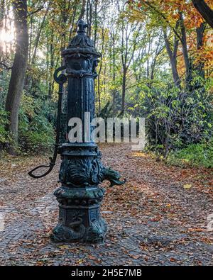 Humboldthain Park, Mitte, Berlin, Wooden bridge,Golden Autumn trees, falling leaves, autumnal colours and sunshine in a popular public park Stock Photo