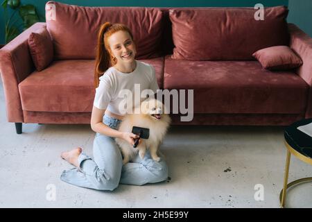 Portrait of smiling young woman gently combing pretty white small Spitz pet dog, sitting on floor at home, looking at camera. Stock Photo