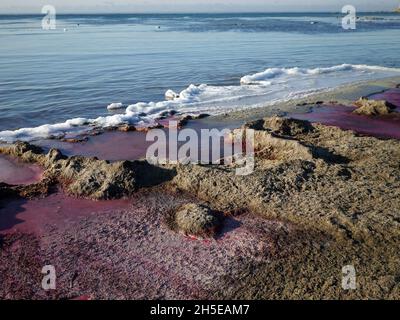 Purple ice on the shore of the Caspian Sea. Kazakhstan. Mangistau region. 22 November 2019 year. Stock Photo