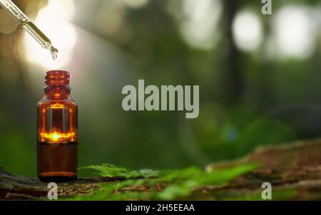 Organic essential oil drop drips into amber glass bottle next to fresh herbs. Copy space. Stock Photo