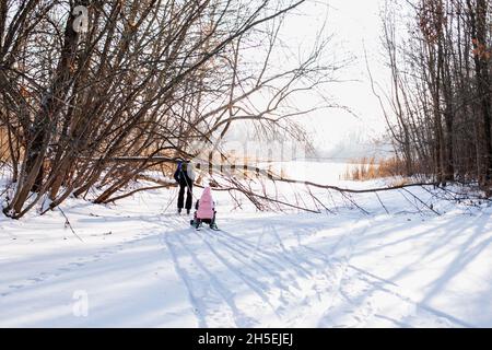 Family rides in winter forest. Young man on skis rides little girl on children's sled on snow-covered road near river, rear view Stock Photo