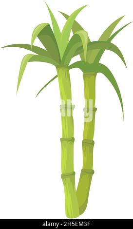 Bamboo stems with leaves. Stick green leaf growing sugar cane, cartoon vector flat icon illustration isolated on white background Stock Vector