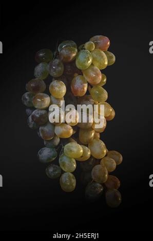 A branch of ripe white grapes on a dark background with splashes of water. Copy space Stock Photo