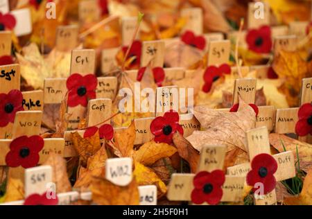 Fallen autumn leaves surround wooden crosses in the remembrance garden in George Square in Glasgow . Picture date: Wednesday October 27, 2021. Stock Photo