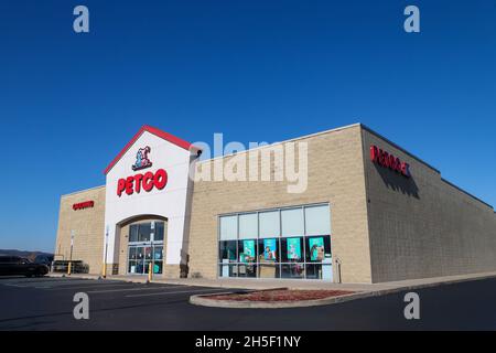 Bloomsburg, United States. 07th Nov, 2021. A Petco store is seen in Bloomsburg, Pennsylvania. (Photo by Paul Weaver/SOPA Images/Sipa USA) Credit: Sipa USA/Alamy Live News Stock Photo