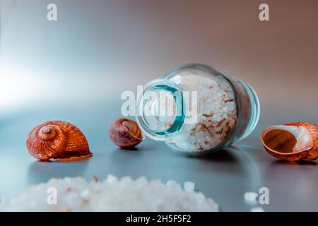 Sea salt is poured from a jar next to seashells on a metallic white background.  Stock Photo