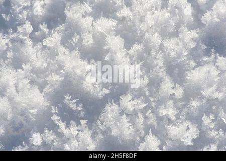 Surface of white powder snow Stock Photo