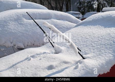 Raised windshield wipers on parked car, covered with fresh snow. Winter car maintenance in freezing weather. Stock Photo