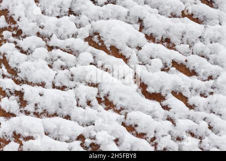 Wooden background covered with snow Stock Photo