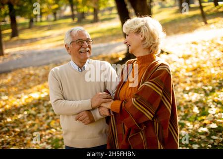 Handsome senior couple walking in autumn park Stock Photo