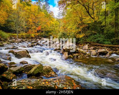 Fall color around small waterfals in the Cullasaja River in Nantahala National Forest between Franklin and Highlands North Carolina USA Stock Photo