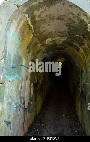 WA19768-00...WASHINGTON - Old tunnel between Artillery Hill and Benson Battery at historic Fort Worden in Port Townsend. Stock Photo