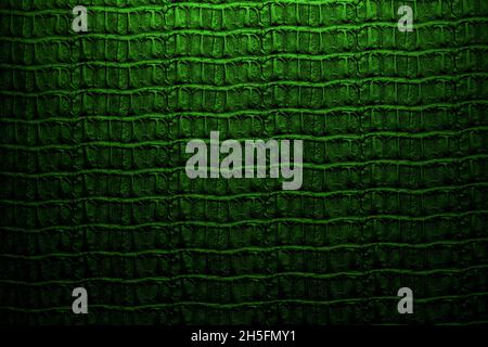 crocodile leather skin texture Stock Photo