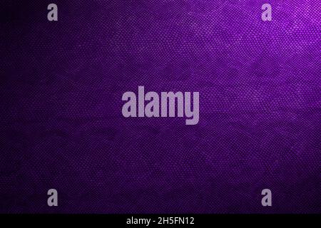 snake skin texture Stock Photo
