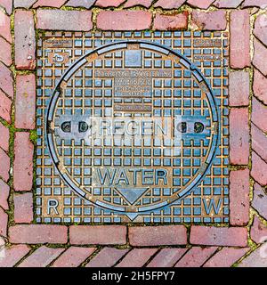 Manhole cover with the Dutch inscription 'Rainwater' in Doesburg, Netherlands Stock Photo