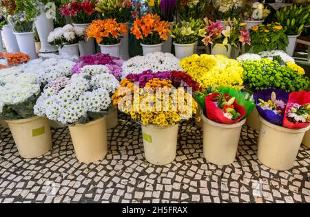 Plaza de las Flores, Flower market, Cadiz, Spain Stock Photo