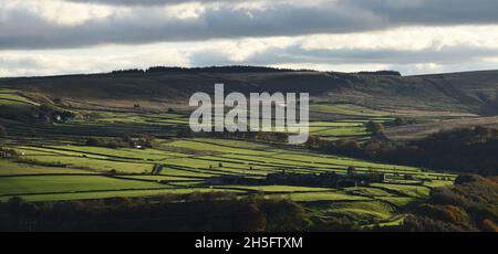 Hill farm near Stoodley Pike Monument on the moors of the upper Calder Valley and the market town of Todmorden. Stock Photo