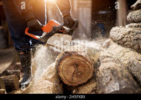 Close up of a lumberjack cutting old wood with a chainsaw. Stock Photo