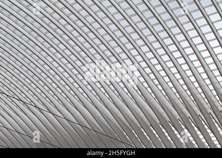 Abstrakte, grafische Dachstruktur mit zahlreichen Streben und Fenstern des Bahnhofs Bahnhof Liège-Guillemins, in Lüttich, Wallonie, Belgien. Stock Photo