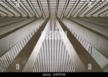 Abstrakte, grafische Dachstruktur mit zahlreichen Streben und Fenstern des Bahnhofs Bahnhof Liège-Guillemins, in Lüttich, Wallonie, Belgien. Stock Photo