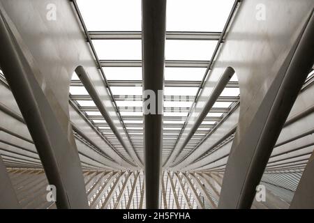 Abstrakte, grafische Dachstruktur mit zahlreichen Streben und Fenstern des Bahnhofs Bahnhof Liège-Guillemins, in Lüttich, Wallonie, Belgien. Stock Photo