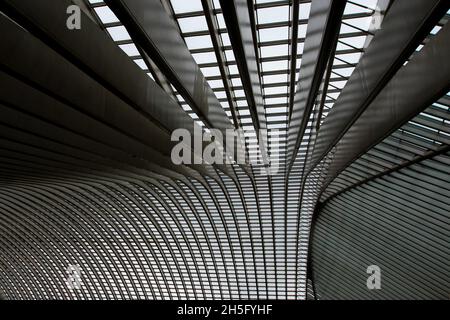 Abstrakte, grafische Dachstruktur mit zahlreichen Streben und Fenstern des Bahnhofs Bahnhof Liège-Guillemins, in Lüttich, Wallonie, Belgien. Stock Photo