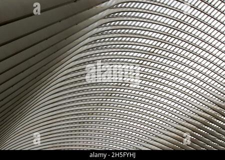 Abstrakte, grafische Dachstruktur mit zahlreichen Streben und Fenstern des Bahnhofs Bahnhof Liège-Guillemins, in Lüttich, Wallonie, Belgien. Stock Photo