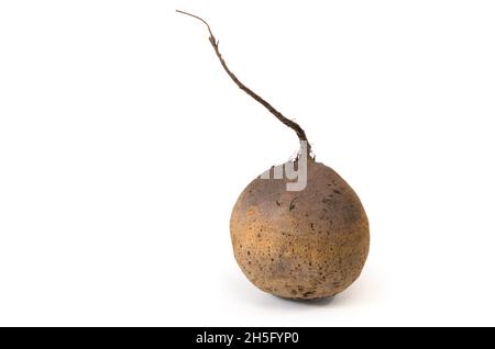 Ripe beets on white background with soft shadow Stock Photo