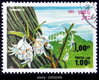 LAOS - CIRCA 1983: a stamp printed in Laos shows rock orchid, dendrobium speciosum, orchid native to Australia, circa 1983 Stock Photo