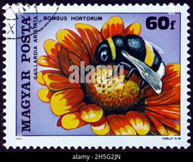 HUNGARY - CIRCA 1980: a stamp printed in Hungary shows bumblebee and blanketflower, circa 1980 Stock Photo