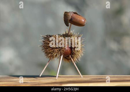 Sheep, funny animal figure made from chestnut shells and oak acorns in autumn time, Switzerland Stock Photo