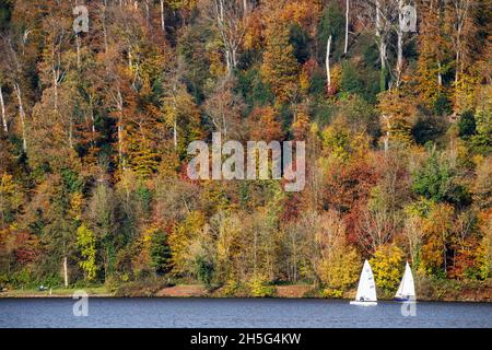 Two small sailboats on Lake Baldeney, Baldeneysee, against the backdrop of an autumnal forest with colourful foliage, Essen, Germany Stock Photo