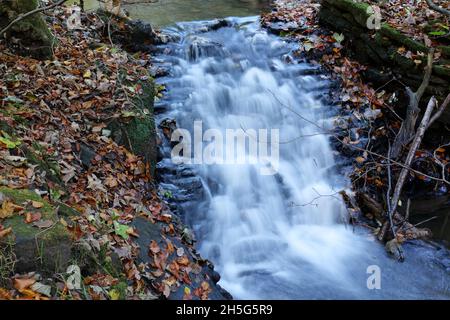 White water cascading down rapids on small river fallen leaves and branches from trees each side Stock Photo