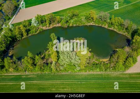 Die Donau aus der Luft | River Donau in Germany from above Stock Photo