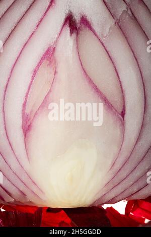 Red Onion Cross Section Stock Photo