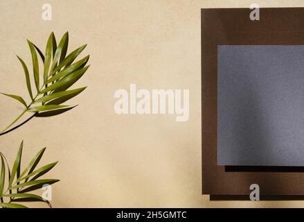 top view stationery paper with leaves. Resolution and high quality beautiful photo Stock Photo