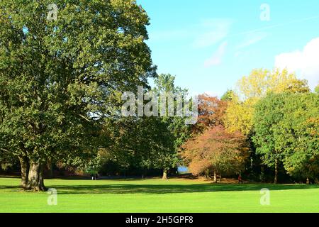 Abington Park with Autumn colours in Northampton England UK Stock Photo