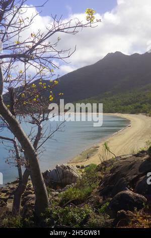 View along Bona Bay beach, Gloucester Island National Park, Whitsunday Islands, near Bowen, Queensland, Australia. No MR Stock Photo