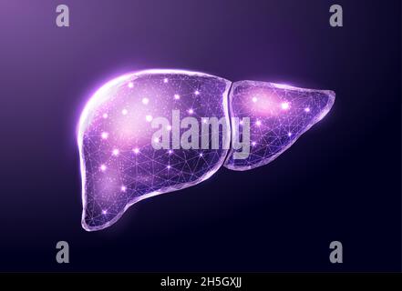 Human liver. Wireframe low poly style. Concept for medical, treatment ...