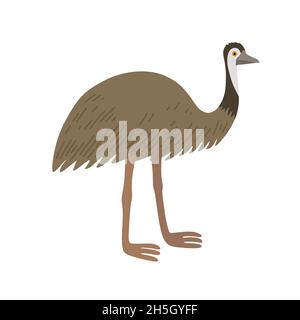 Cartoon ostrich emu isolated on white background. Bird of Australian fauna.  Stock Vector