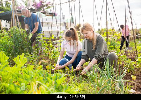 Woman working in garden with teenage girl Stock Photo