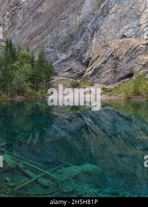 Stunning portrait view of Grassi Lakes near Canmore in Kananaskis Country, Canada in the Rocky Mountains with dead trees under the clear, blue water.