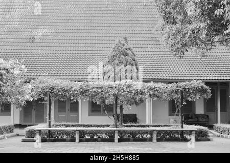 a garden inside the vredeburg museum, yogyakarta, indonesia. Stock Photo