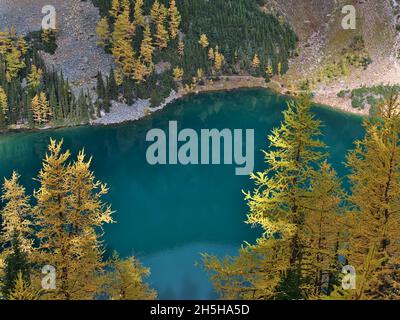 Aerial view of Lake Agnes in autumn with yellow larch trees and green shimmering water in a valley near Lake Louise, Banff National Park, Canada. Stock Photo